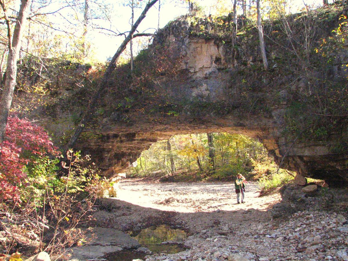 Rock Eddy Bluff Farm Cabins Dixon Esterno foto